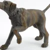 Blakeley, Hond