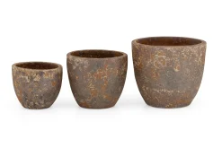 Kronob, Planter, S