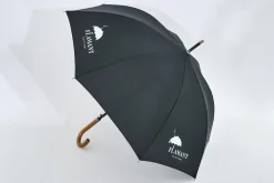 Paraplu Flamant, Paraplu
