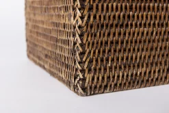 Togo, Paraplubak, Riet